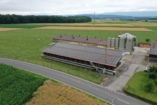 Landwirt in Aefligen