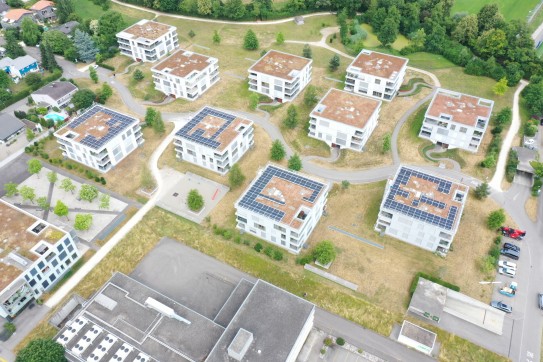 MFH in Langenthal